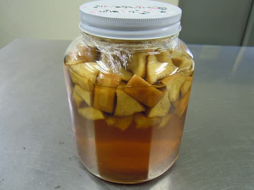 Homemade Apple Vinegar　サムネイル画像