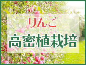 りんご高密植栽培 バナー