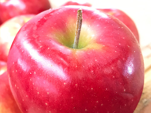 りんごのベタベタは天然のワックス りんご大学ブログ