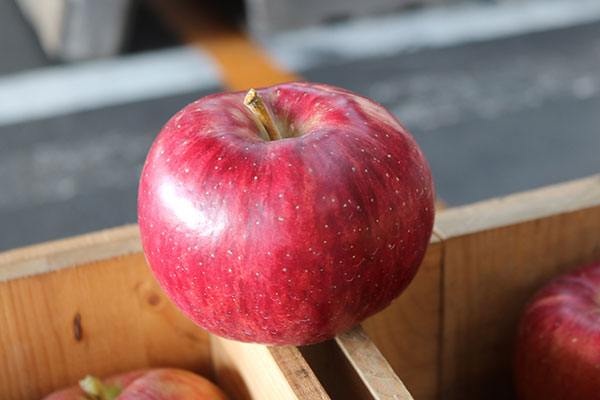青森りんごのレア品種「紅夏（べにか）」 - りんご大学ブログ