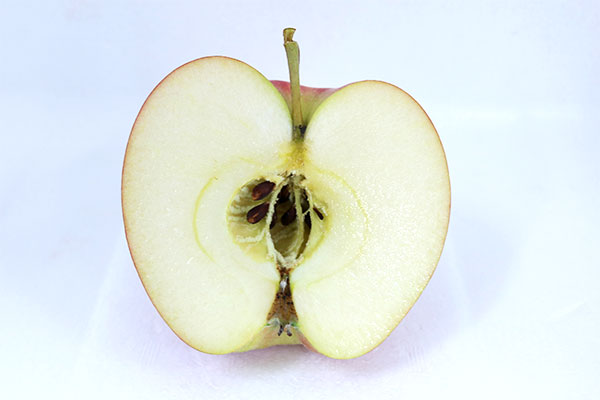 青森りんごのレア品種「未希ライフ」と「あかね」 - りんご大学ブログ