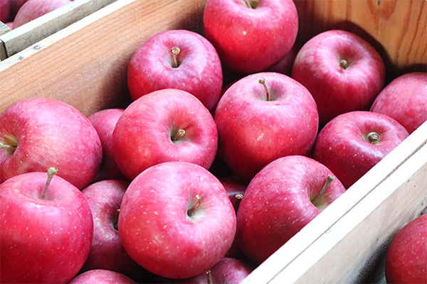 品種紹介ブログ りんごの品種 りんご大学