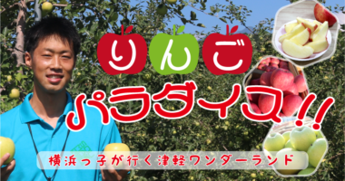 りんご大学 (りんご大学ブログ の投稿者) - 7ページ目 (25ページ中)